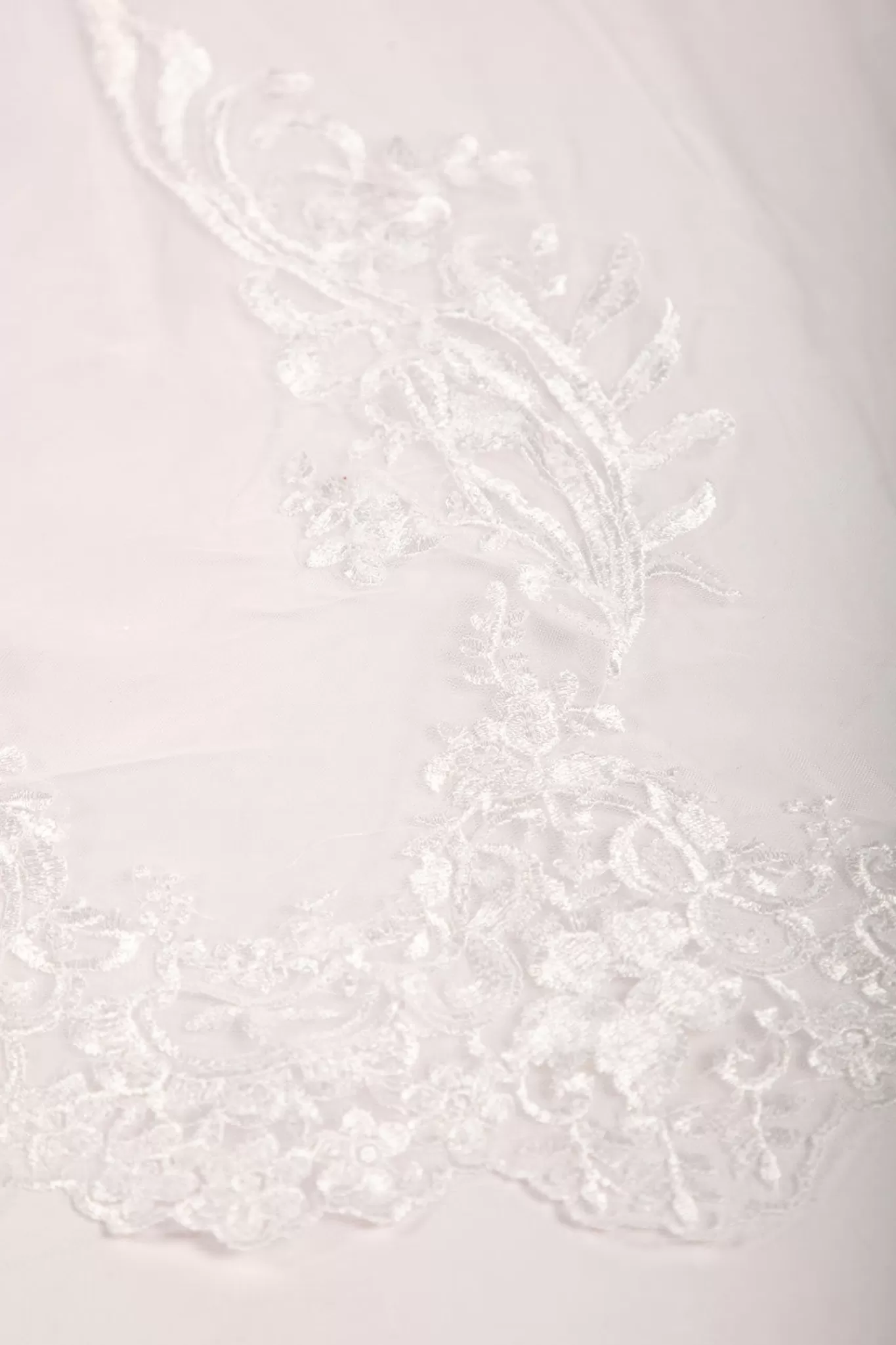 Women NBLUXE Veils | Accessories>ASTER Long Wedding Veil with Lace Appliques